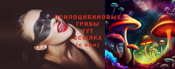 гидропоника Няндома