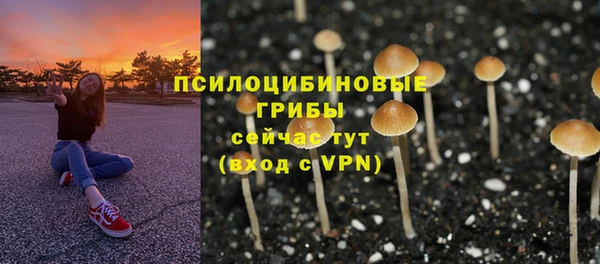 ешки Алексеевка