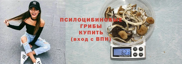 ешки Алексеевка