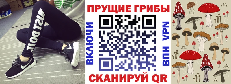 KRAKEN ССЫЛКА  Троицк  Галлюциногенные грибы Psilocybine cubensis  даркнет сайт 